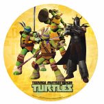 Tortugas Ninja 2- 1 hoja con 1 circulo de 20 cm. FPD9015B