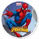 Spiderman 3- 1 hoja con 1 circulo de 20 cm. FPD9016C